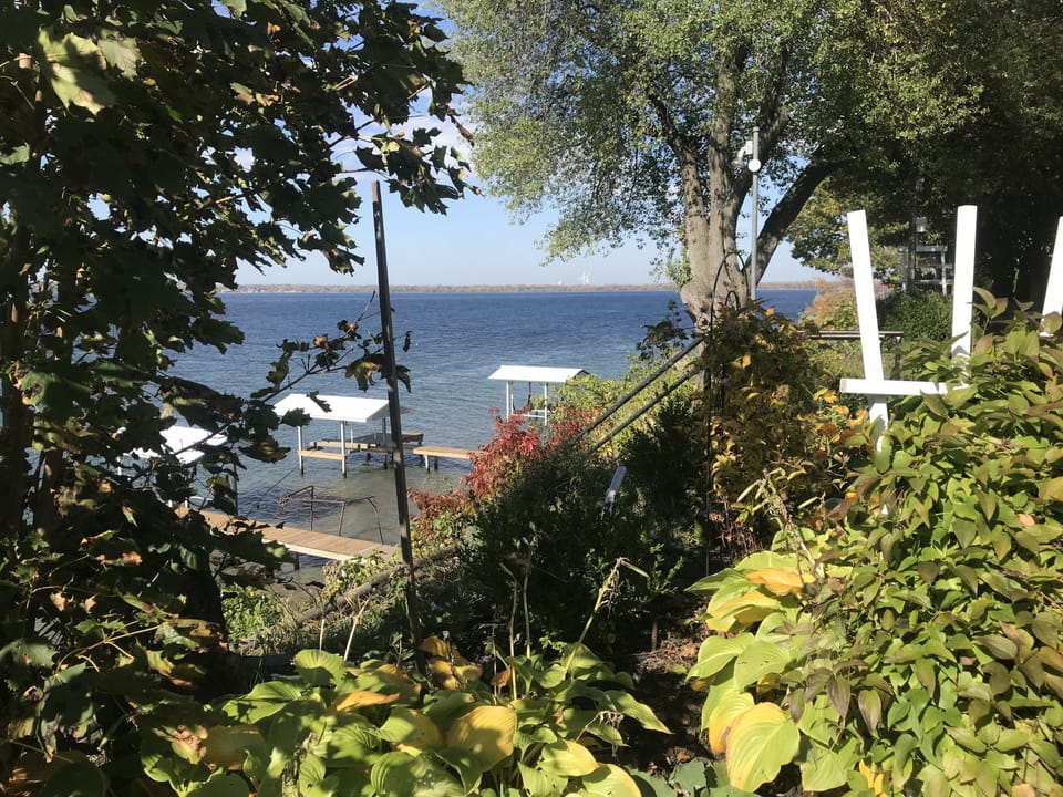 View from property