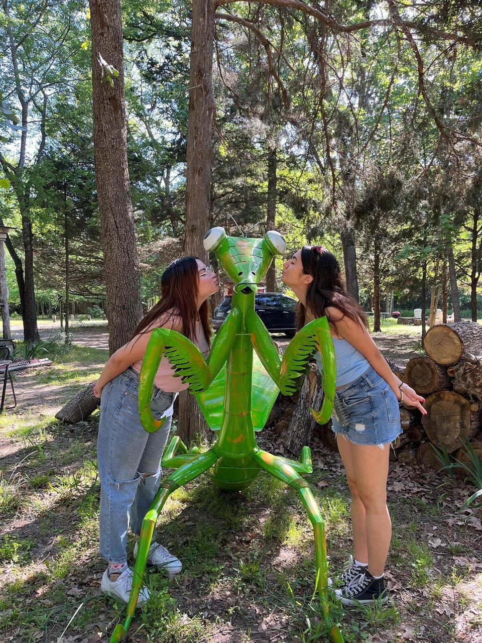 Guests just love our Praying Mantis!  