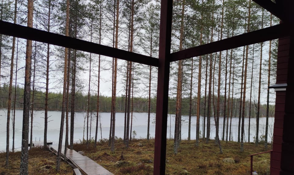 view from the porch