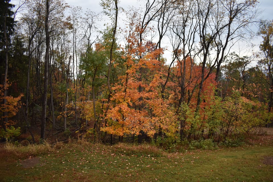 View from the porch