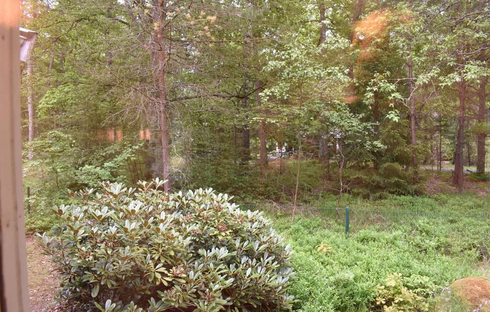 view-from-room