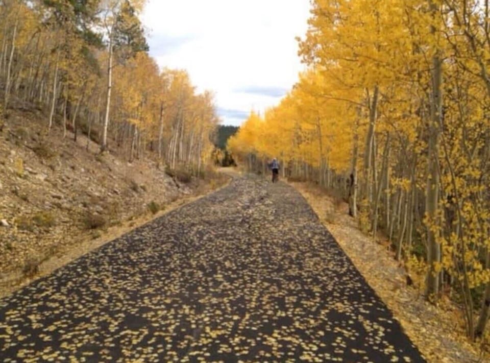 Trail in the Fall
