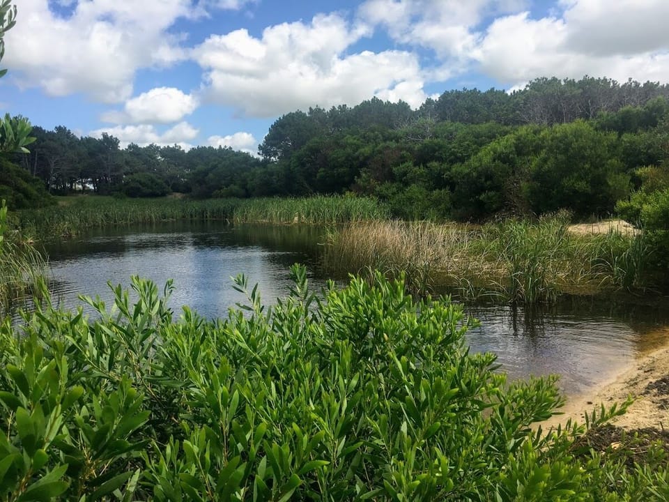 Lake