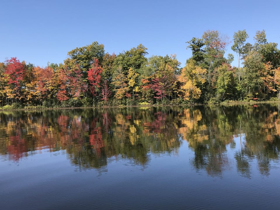 Leaves 🍁 are changing 9/22/20