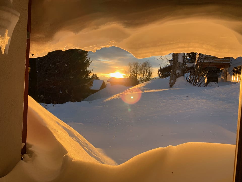 Morning, view  from the living room