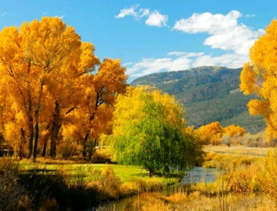 Random shot of Fall in Durango