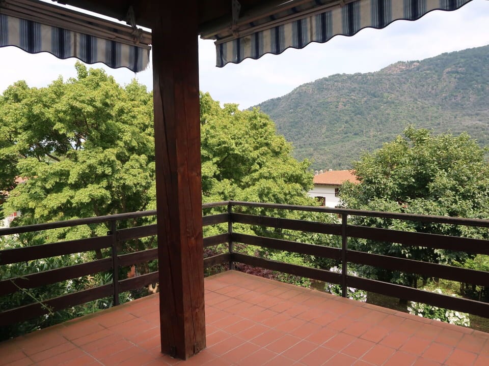Property, Tree, House, Building, Room, Architecture, Landscape, Plant, Shade