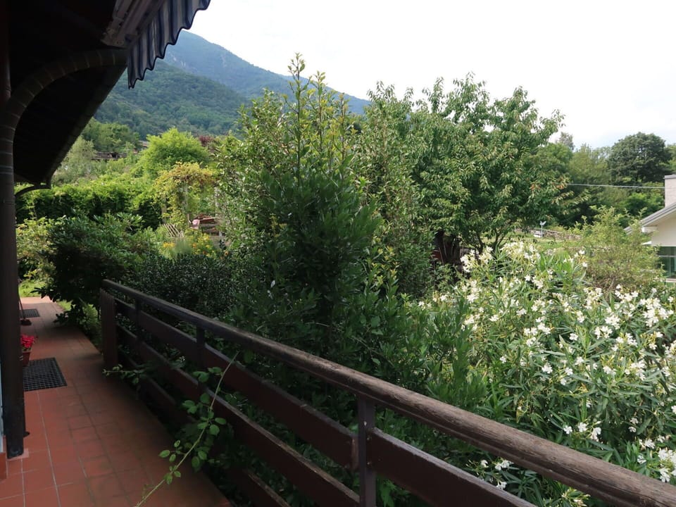 Vegetation, Shrub, Plant, Tree, Flower, Garden, Landscape, Walkway, House