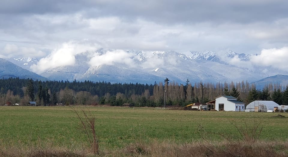 Towne & Country Living. Mountain & Pastoral Views on Private Acreage. 