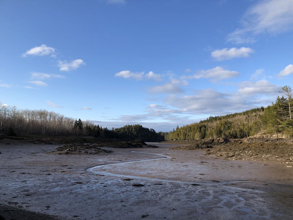 Low tide. 