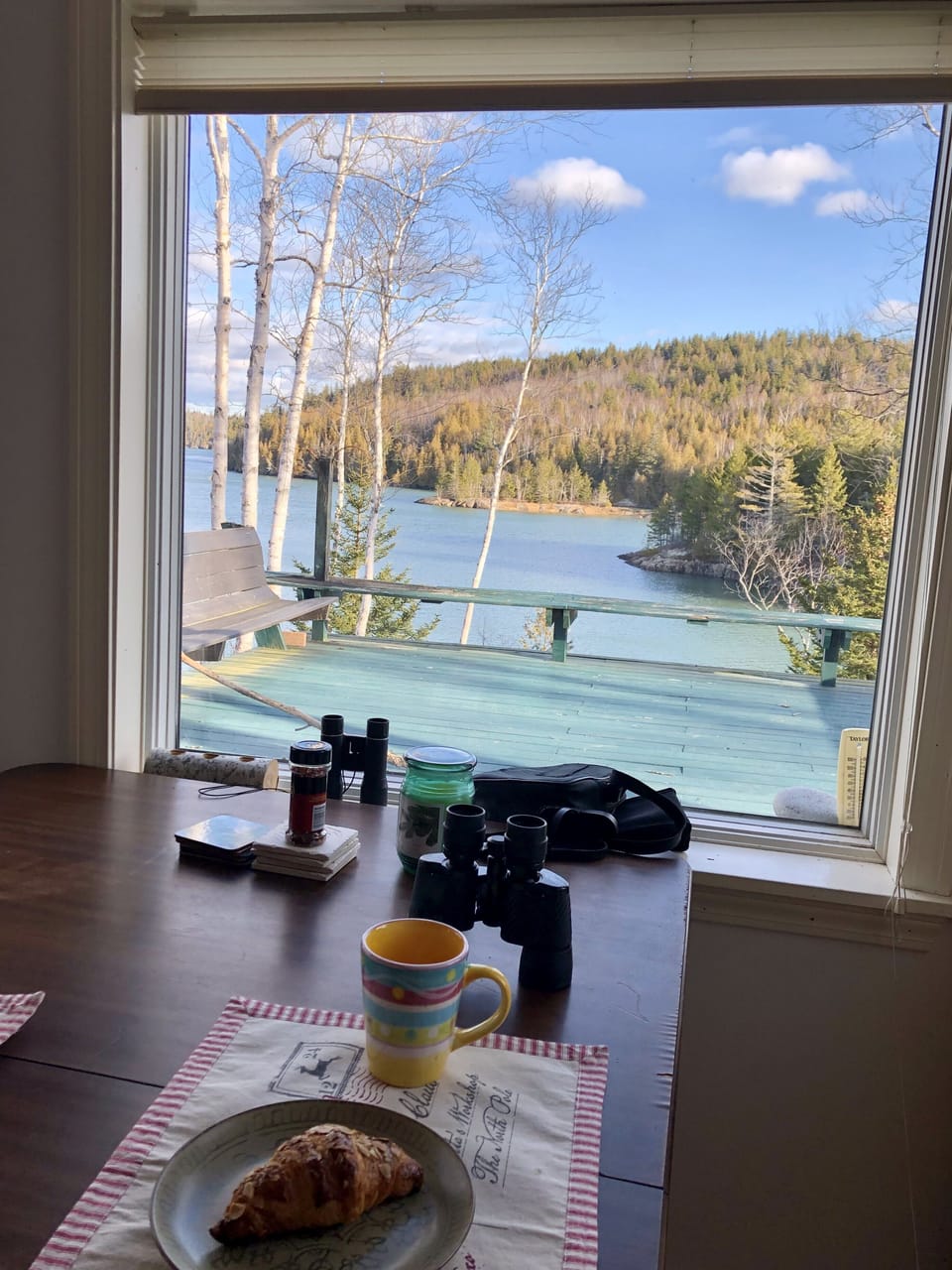 View from the dinning table 