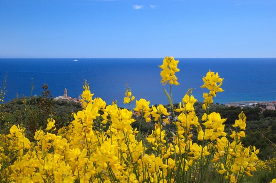 Part of a villa with pool. House in Liguria