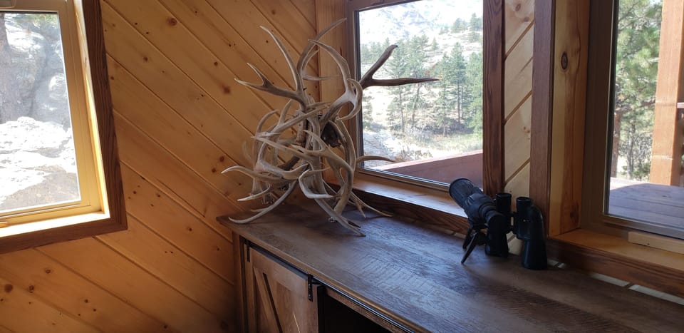 Wildlife viewing room adjacent to the living room