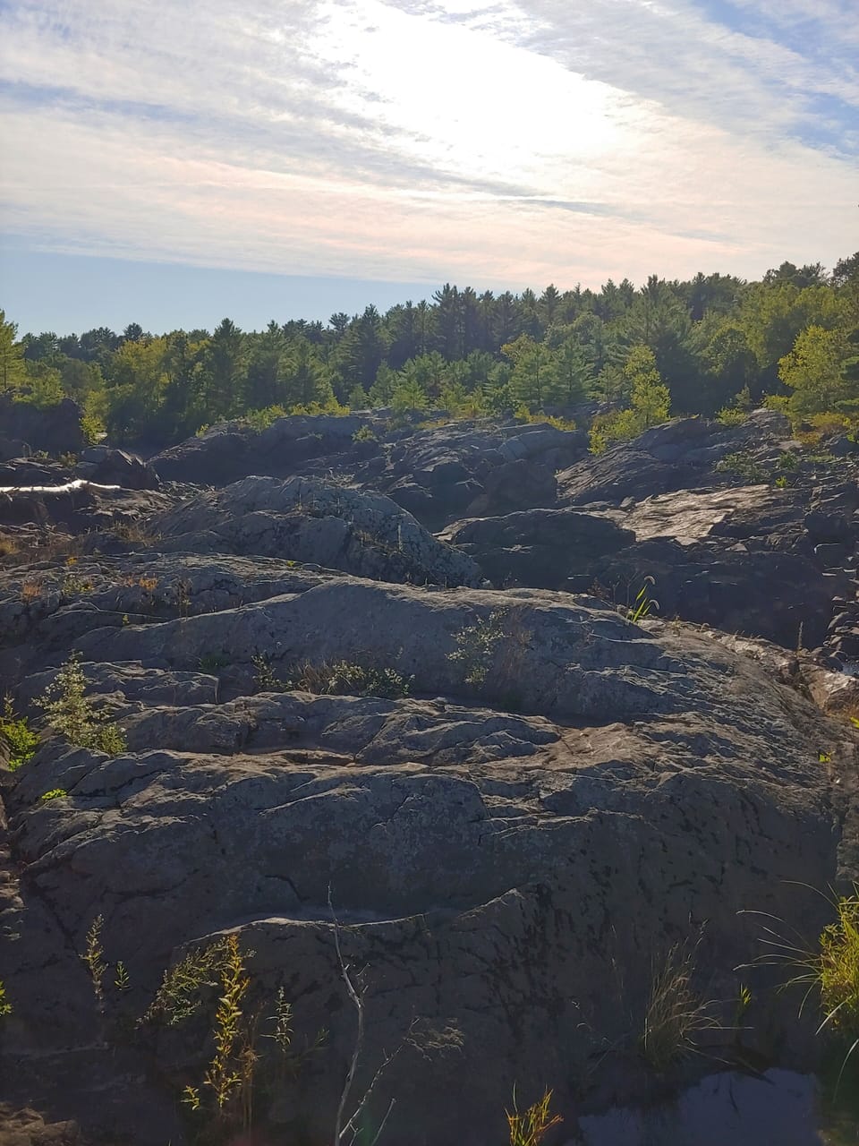 Beautiful area to hike at the edge of the property.