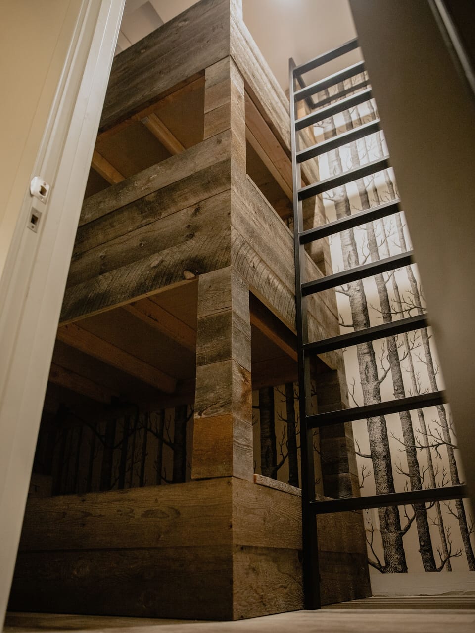 Tree bunk room 3 X-Long twin 