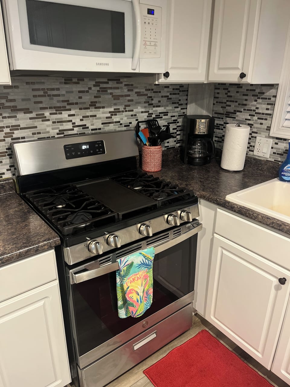 Gas oven