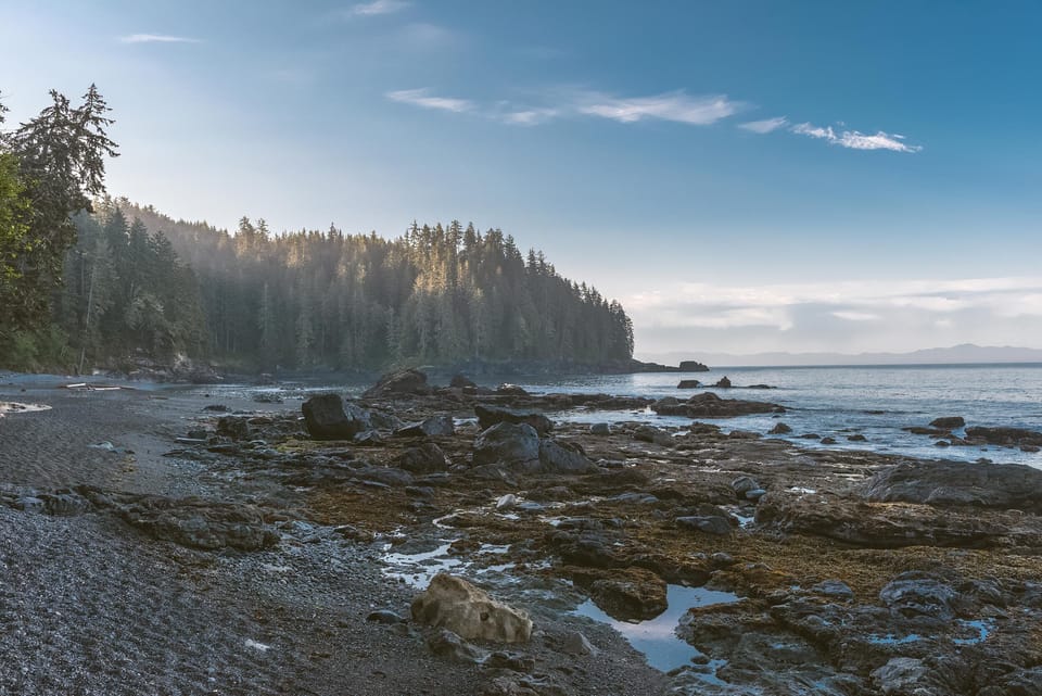 Botanical beach