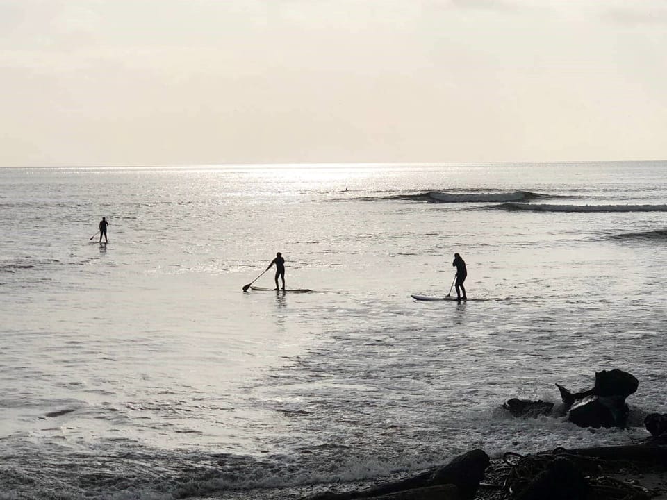 paddleboarding 