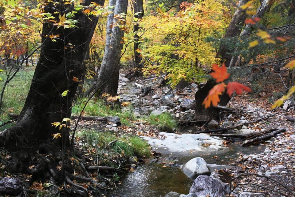 Creek at Ramsey Canyon Preserve
