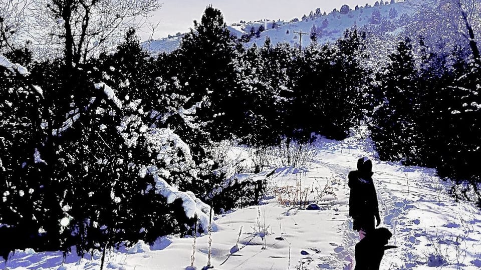 Walking now shoe trail 15 minutes away