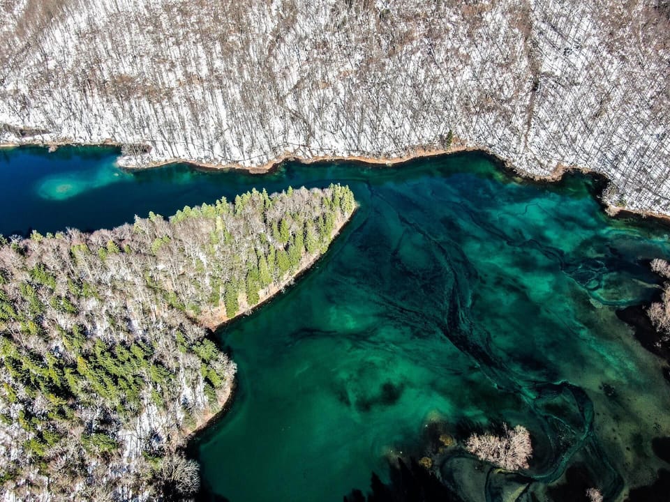 Area that directly surrounds the property