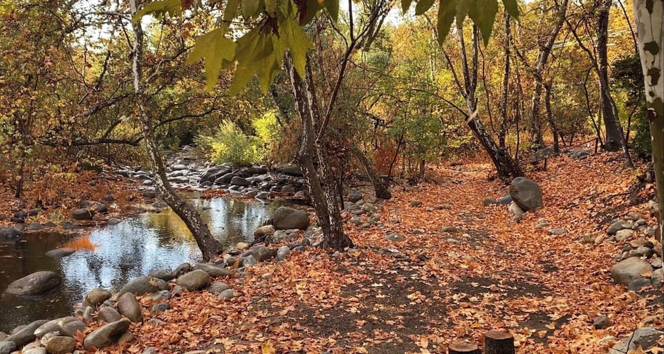 Fairy Stream (Nov 2020)