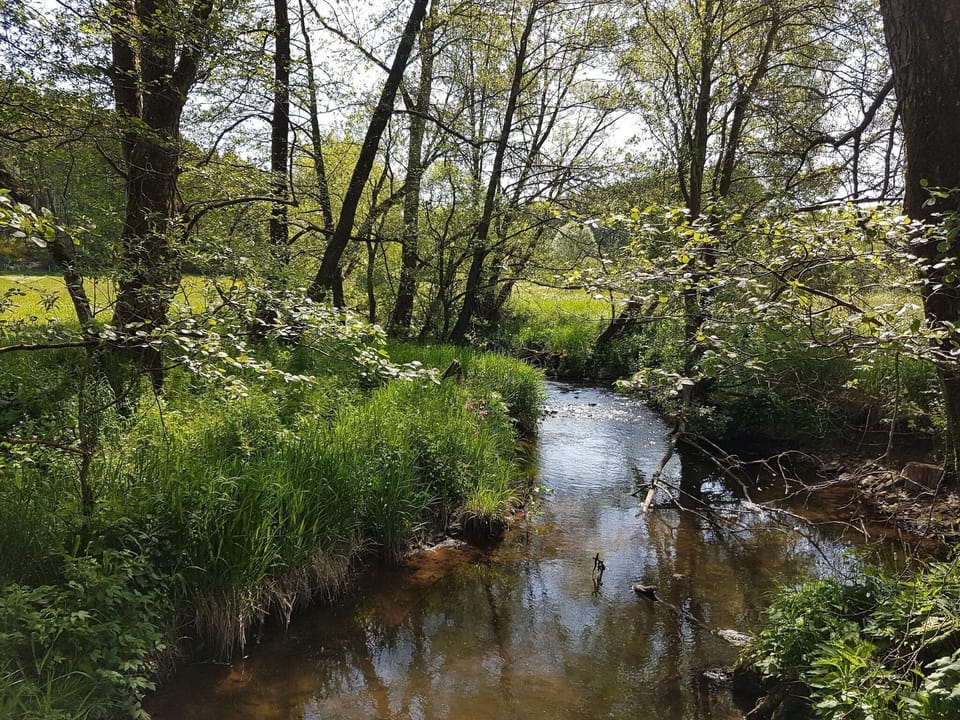 Surroundings [summer] (1-5 km)