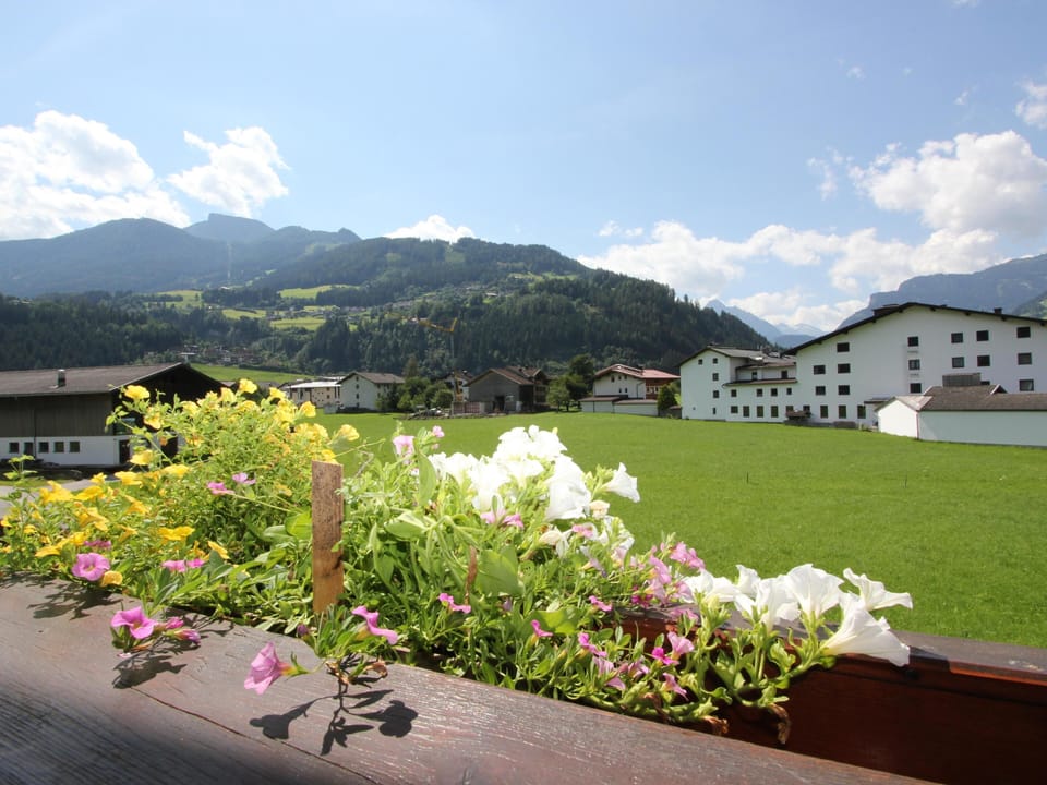 View from Holiday Home [summer]