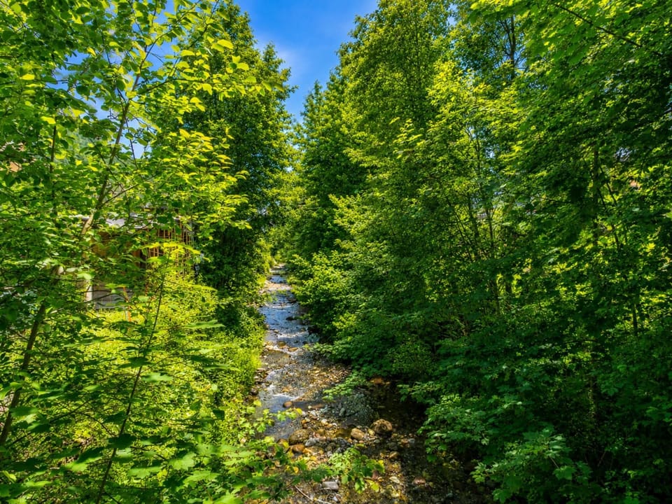 Region [summer] (>5 km)