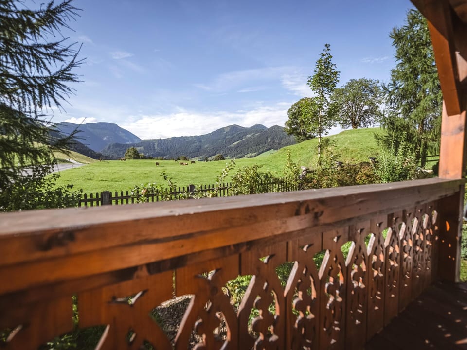 View from Holiday Home [summer]