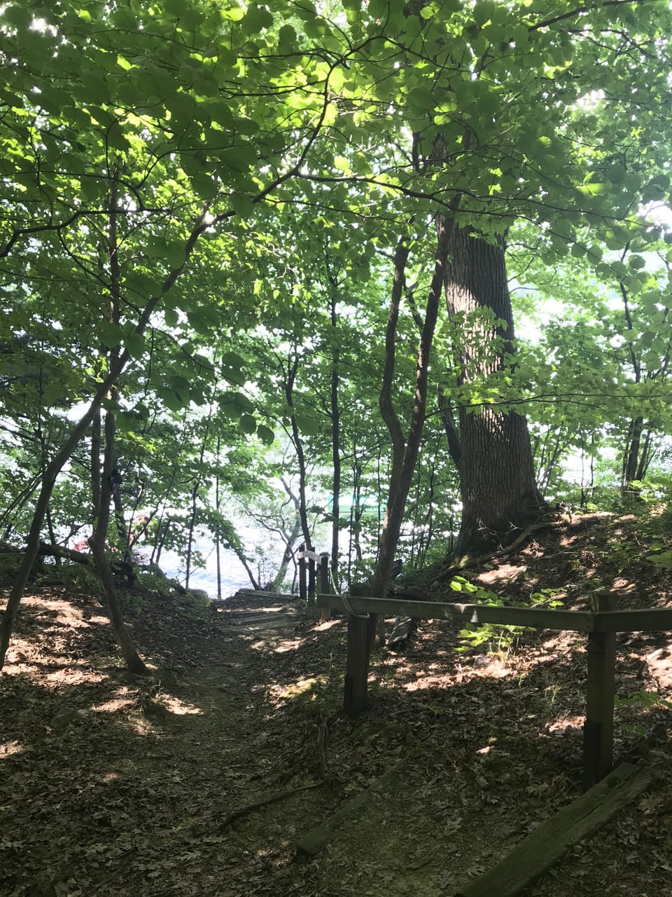 The path down to the lake.