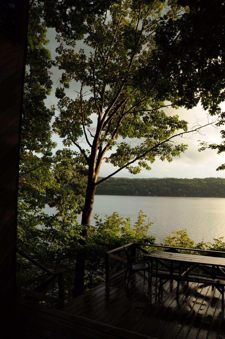 Evening view from the deck.