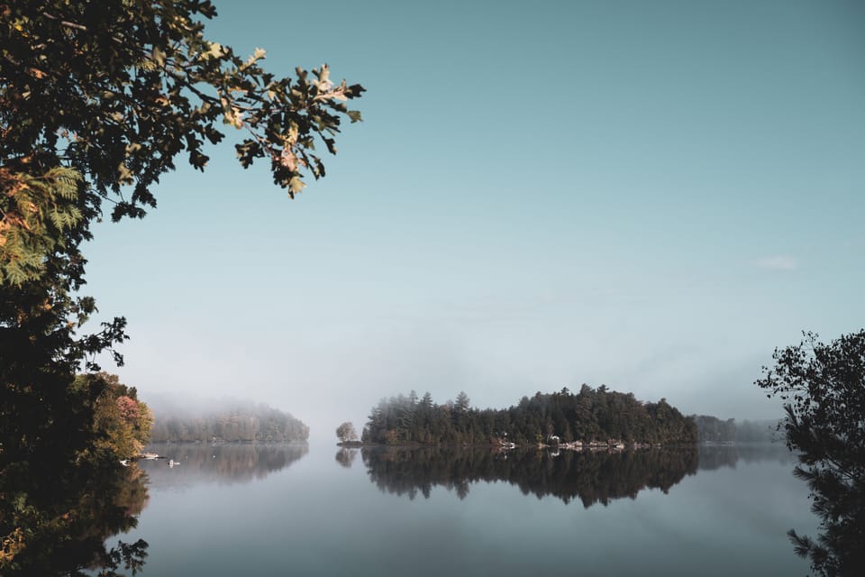 View from the cottage
