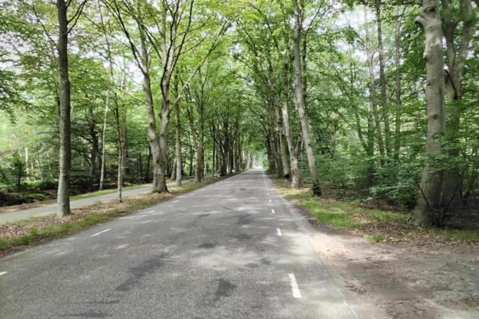 Region [summer] (>5 km)