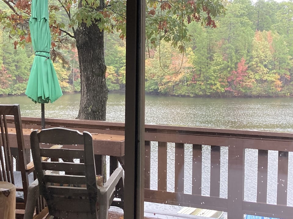 Fall colors are here! View on 10/26/2021 from master bed 