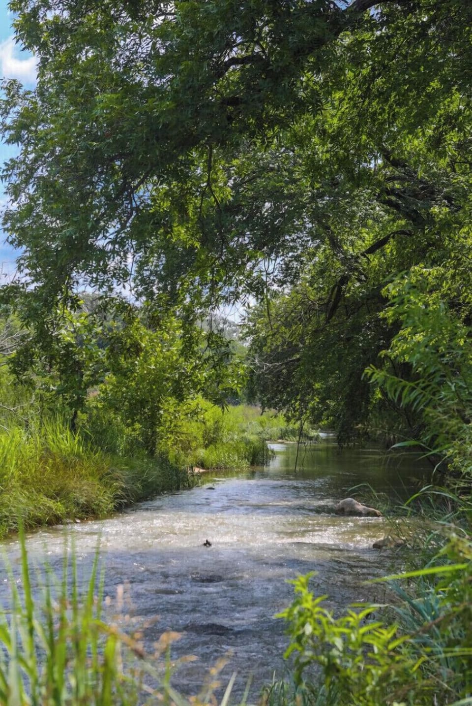 San Saba River below the house. Easy walking distance.