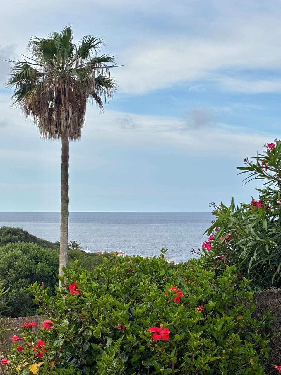 View from second bedroom