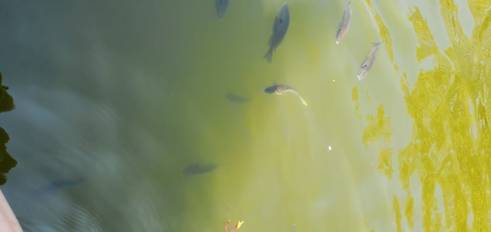 Great fishing!
