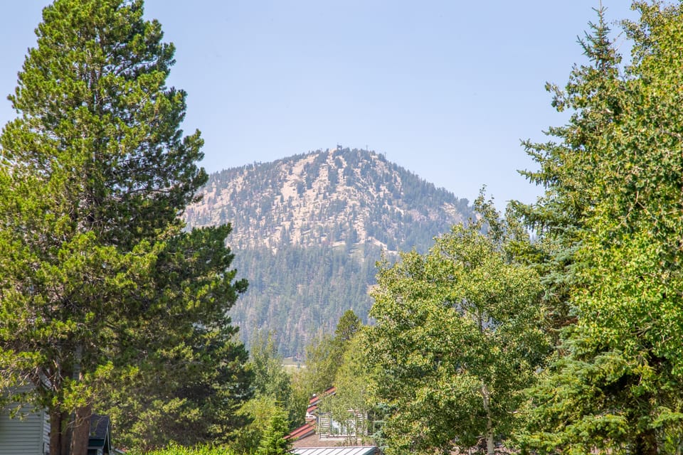View  to Mammoth Mountain