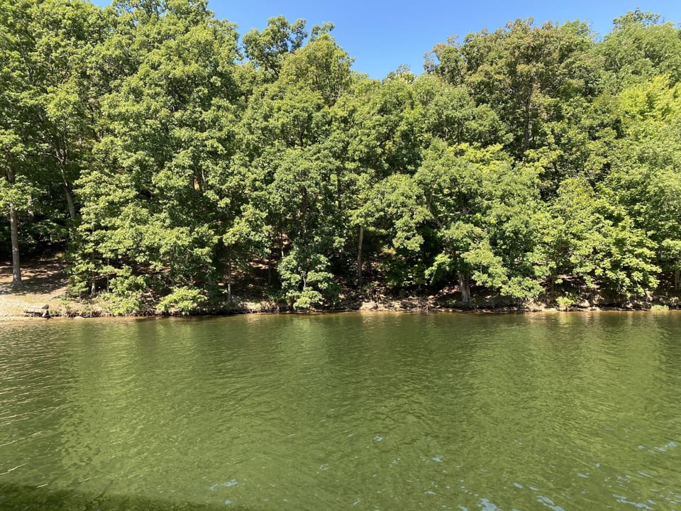Calm Waters