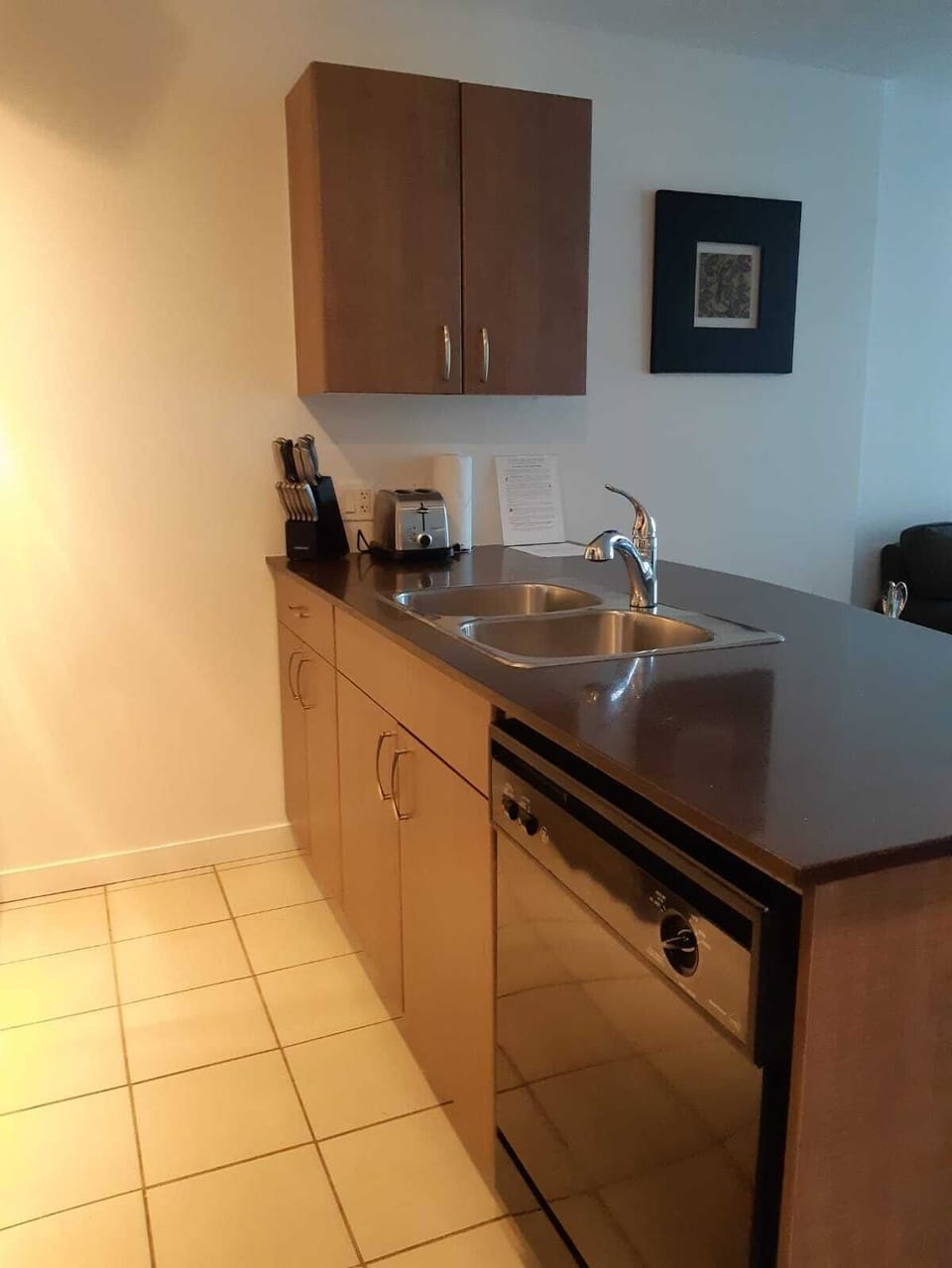 Dishwasher and sink