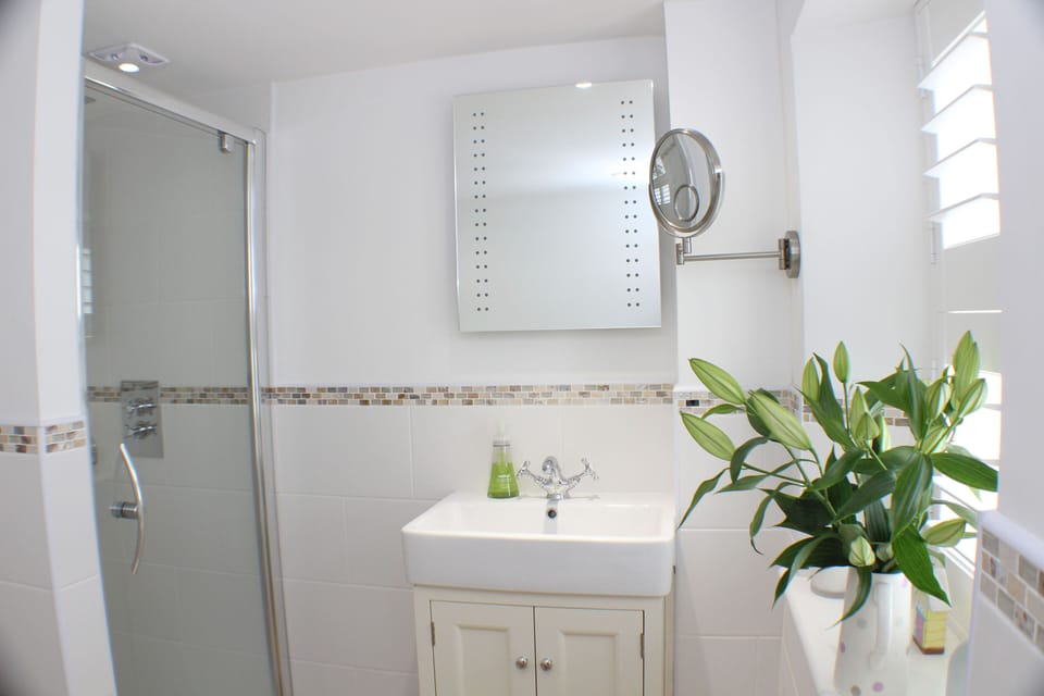 Shower in main bathroom