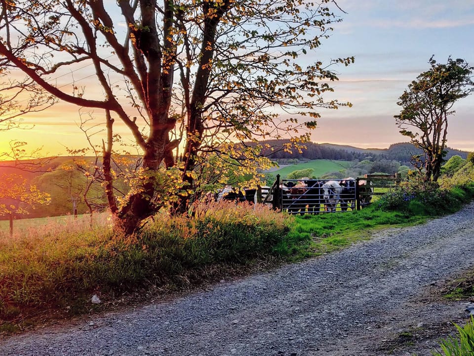 Surrounding area | Coachman, Portpatrick, near Stranraer