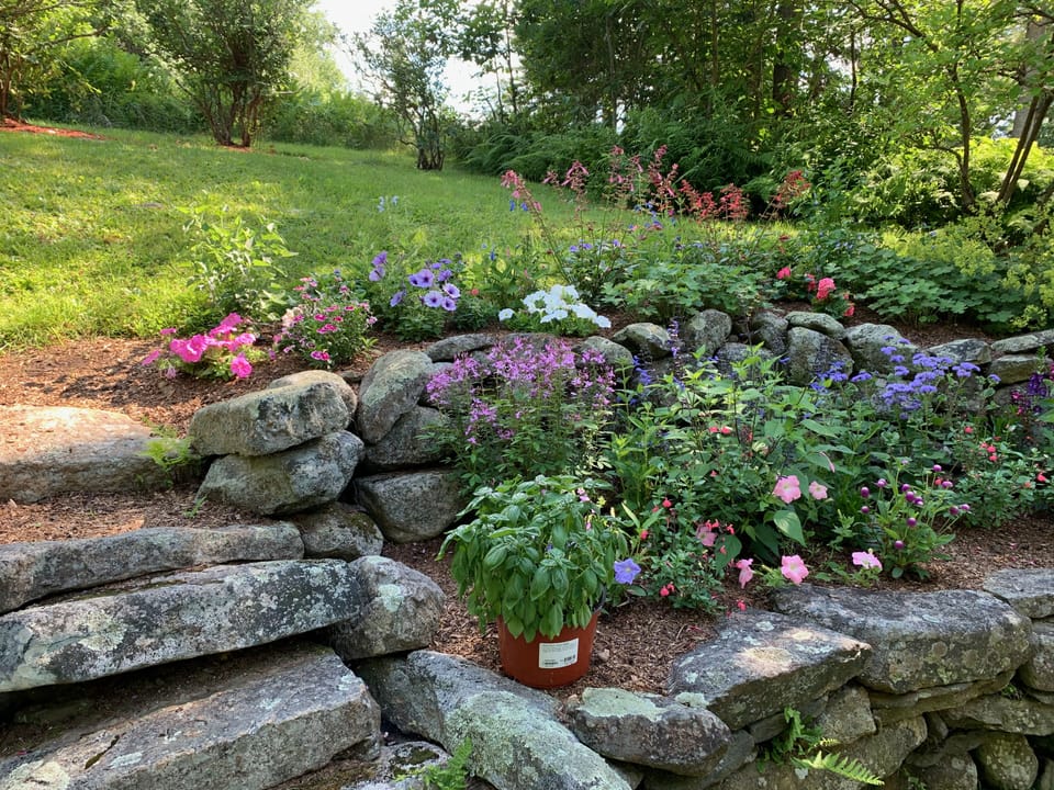 Kitchen garden