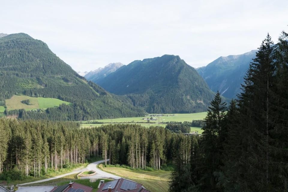 Surroundings [summer] (1-5 km)