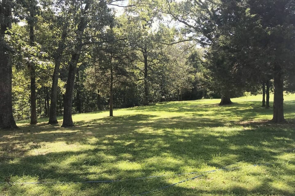 front yard