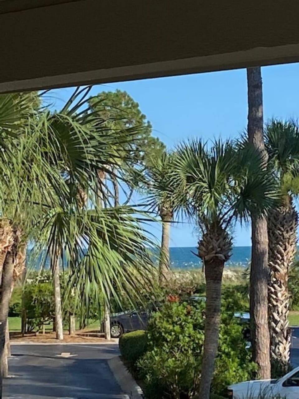 View from property