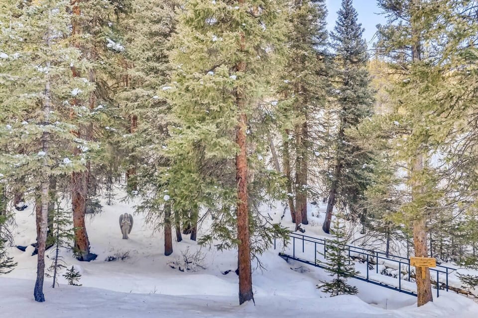 Serene Winter Paradise Is Yours