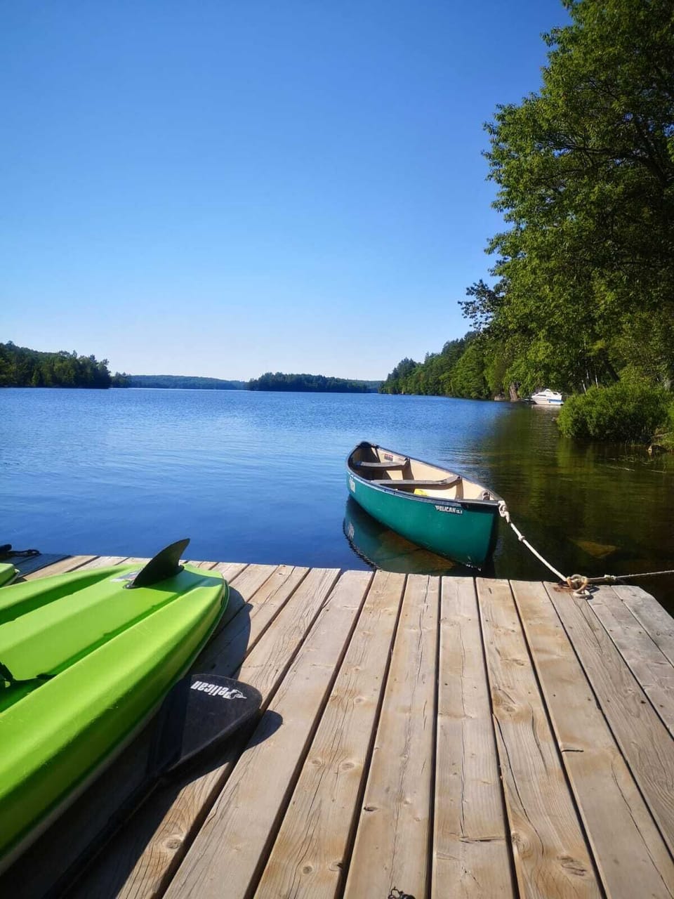 KAYAKS * CANOE * PADDLE BOARDS * WIFI * SATELLITE TV Cottage in Algonquin Highlands