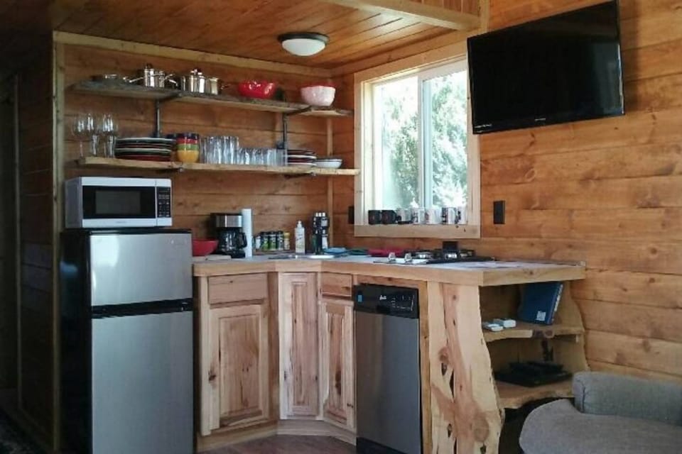 Compact efficient kitchen with cooktop and dishwasher. 